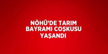 24783204913043730036tasarimli