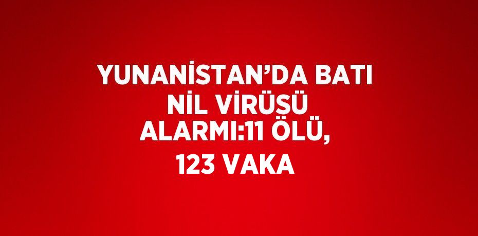 24785212812346425313tasarimli