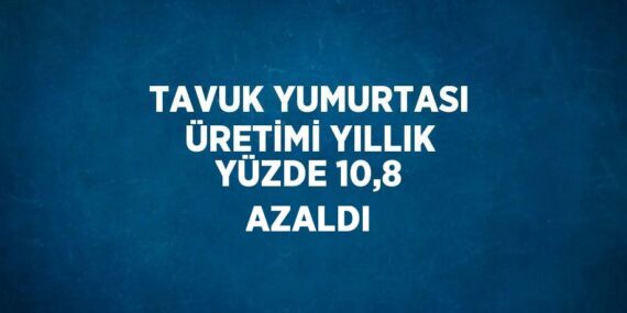 TAVUK YUMURTASI ÜRETİMİ YILLIK YÜZDE 10,8 AZALDI
