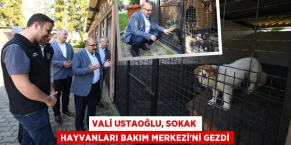 VALİ USTAOĞLU, SOKAK HAYVANLARI BAKIM MERKEZİ’Nİ GEZDİ