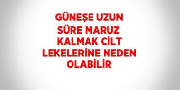 24793252322848030984tasarimli