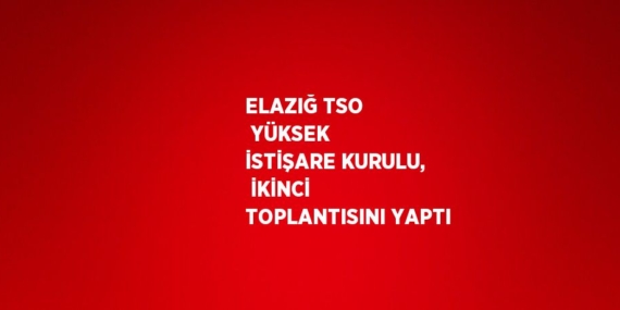 ELAZIĞ TSO  YÜKSEK İSTİŞARE KURULU,  İKİNCİ TOPLANTISINI YAPTI