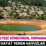 24800239882235323677tasarimli