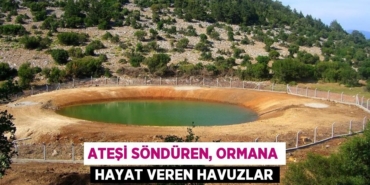 24800239882235323677tasarimli