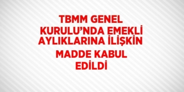 24803214022787526658tasarimli