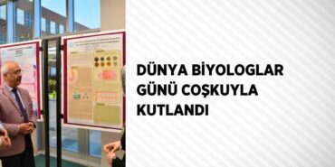 24803262572725520770