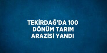 24804249852145520998tasarimli