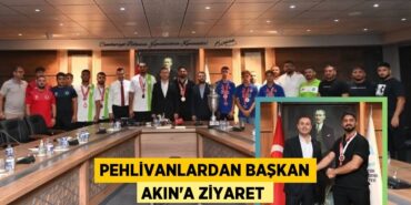 24804258142017022165tasarimli