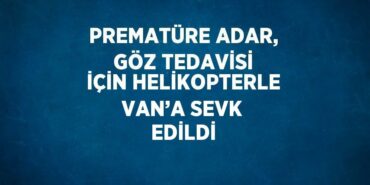 24805292482250225956tasarimli