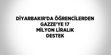 24808275162059426164tasarimli