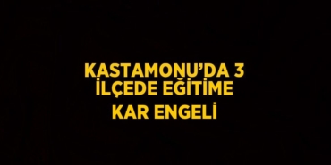 24809208172270330370tasarimli
