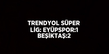 24809255082184328794tasarimli