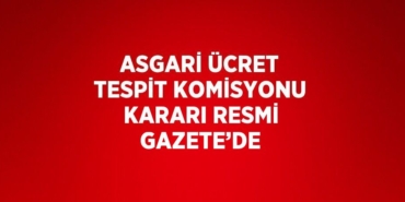 24813236722907627946tasarimli