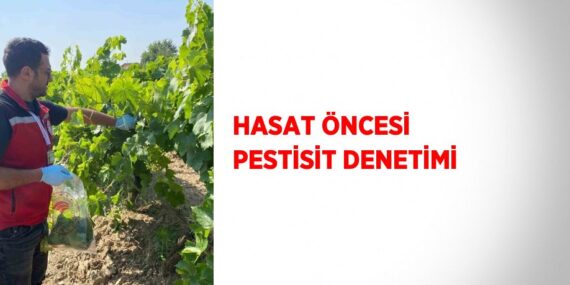 HASAT ÖNCESİ PESTİSİT DENETİMİ