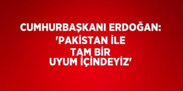 24817290432836821025tasarimli