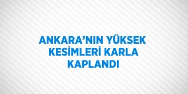 24819209112246025440tasarimli