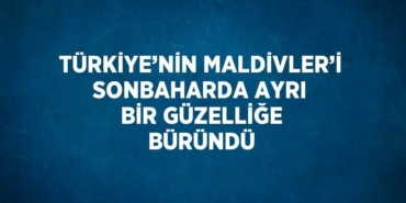 24820238242002329717tasarimli
