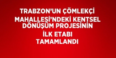 24821263462042230012tasarimli