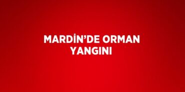 24824319872822224297tasarimli