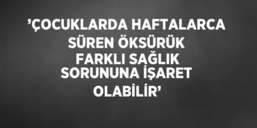 24832299962955423413tasarimli