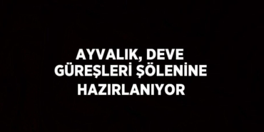 24834268702679831331tasarimli