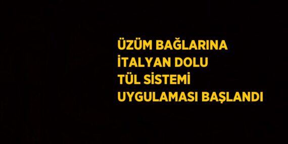 ÜZÜM BAĞLARINA İTALYAN DOLU TÜL SİSTEMİ UYGULAMASI BAŞLANDI