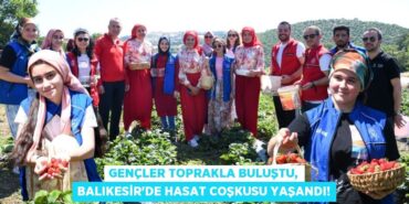 24837310703105024088tasarimli