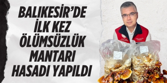 BALIKESİR’DE İLK KEZ ÖLÜMSÜZLÜK MANTARI HASADI YAPILDI