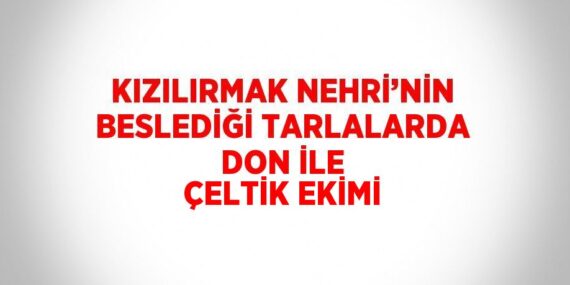 KIZILIRMAK NEHRİ’NİN BESLEDİĞİ TARLALARDA DON İLE ÇELTİK EKİMİ