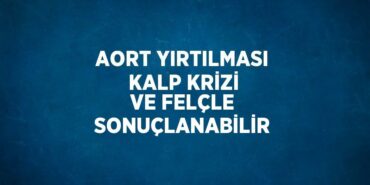 24845259522945730825tasarimli