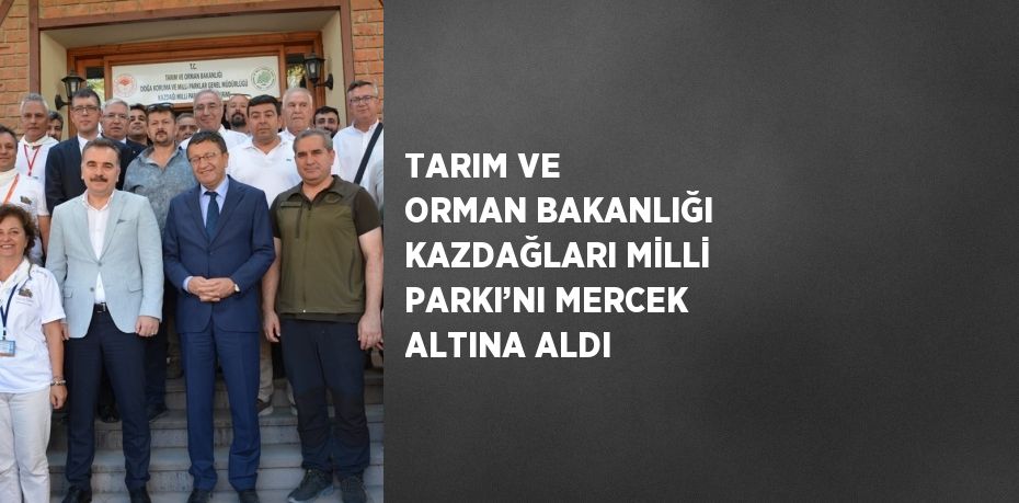 24848206922505820823