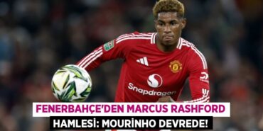 24852251152191630479tasarimli