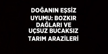 24865219842618625069tasarimli