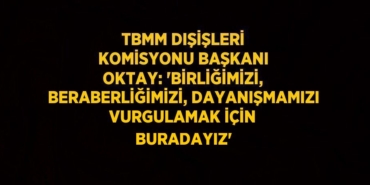 24866255802279226138tasarimli