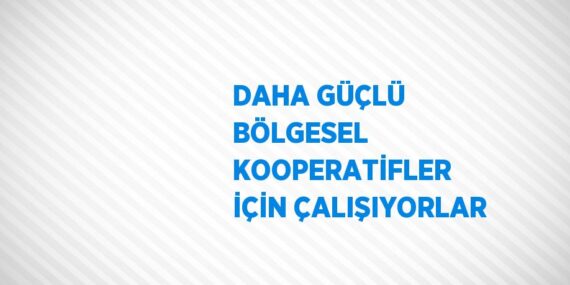 DAHA GÜÇLÜ BÖLGESEL KOOPERATİFLER İÇİN ÇALIŞIYORLAR