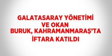 24867253572956622897tasarimli