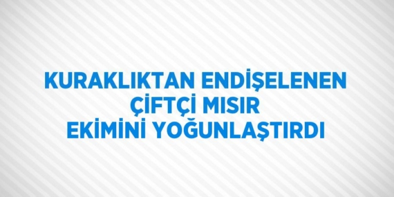 KURAKLIKTAN ENDİŞELENEN ÇİFTÇİ MISIR EKİMİNİ YOĞUNLAŞTIRDI