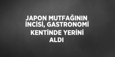 24874250112881928325tasarimli