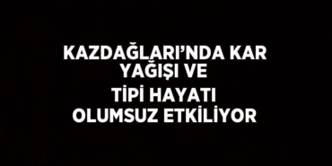 24880241402129921676tasarimli