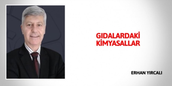GIDALARDAKİ KİMYASALLAR