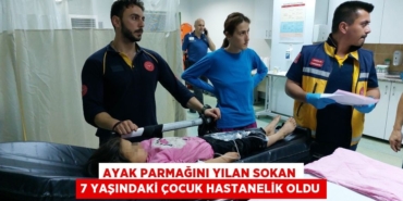 24887255663133231763tasarimli