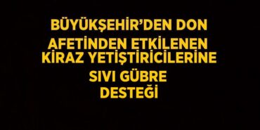 24890279942119523417tasarimli