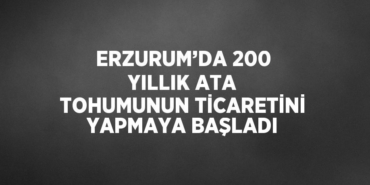 24890287692831121781tasarimli