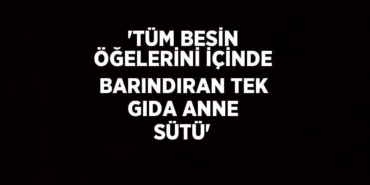 24891221892977530565tasarimli