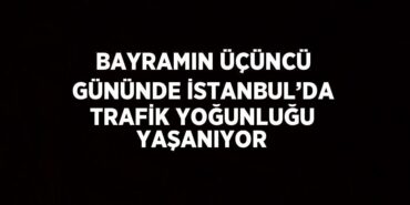 24893283172044023485tasarimli