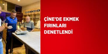 24898215132701224188