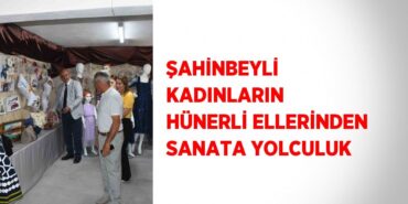 24901312872196224240