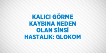 24903254092334431574tasarimli