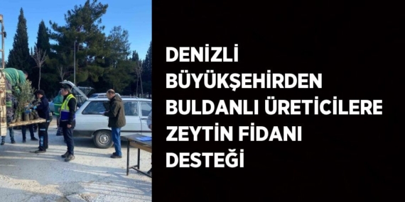 DENİZLİ BÜYÜKŞEHİRDEN BULDANLI ÜRETİCİLERE ZEYTİN FİDANI DESTEĞİ