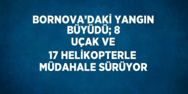 24910250453063823901tasarimli